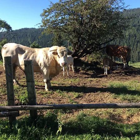 Kniebergerhof * Liebenfels