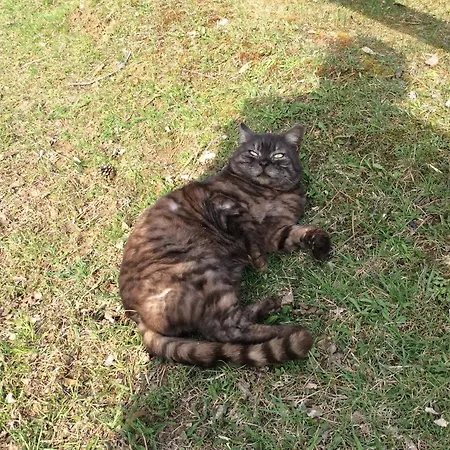 בית חווה Kniebergerhof Liebenfels