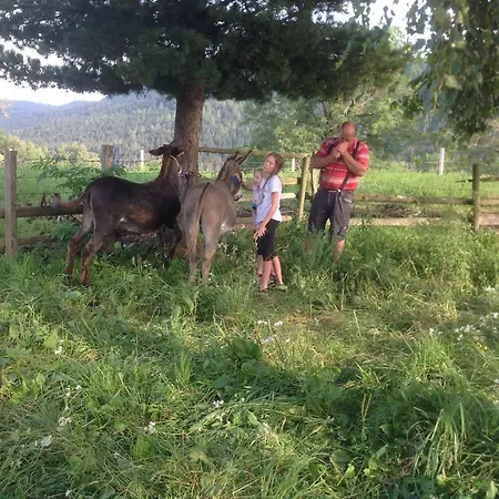 Kniebergerhof Gospodarstwo agroturystyczne *