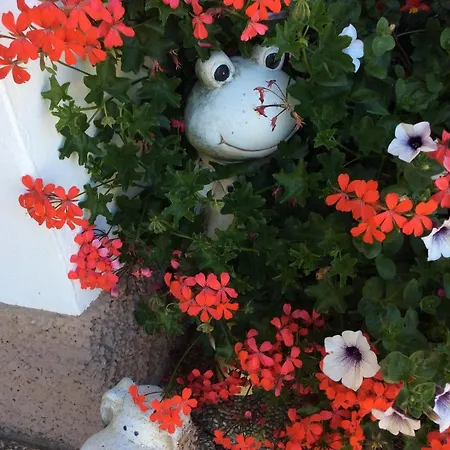 Kniebergerhof * Liebenfels