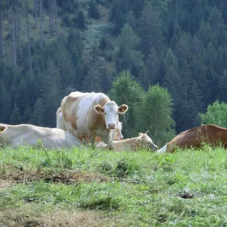 Kniebergerhof Gospodarstwo agroturystyczne Liebenfels