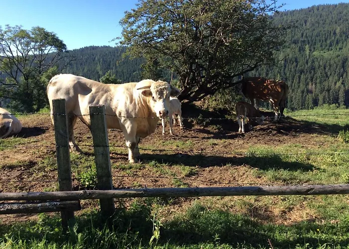 Kniebergerhof * Liebenfels