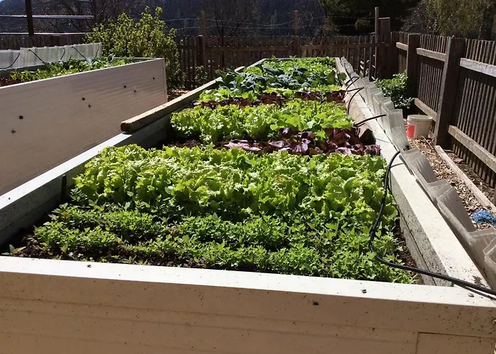 Kniebergerhof Farma Liebenfels