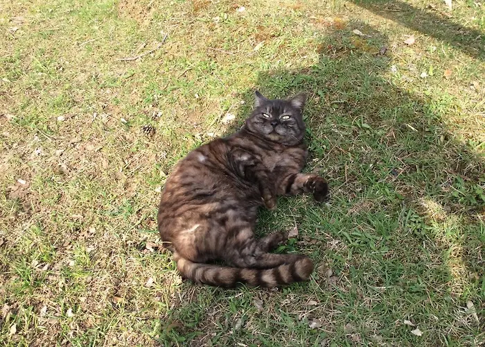 Farma Kniebergerhof Liebenfels