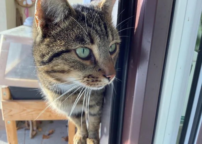 Farma Kniebergerhof *