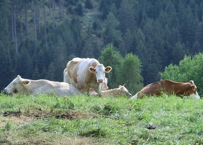 Kniebergerhof Farma Liebenfels