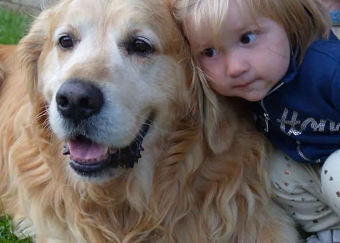 Farma Kniebergerhof Liebenfels