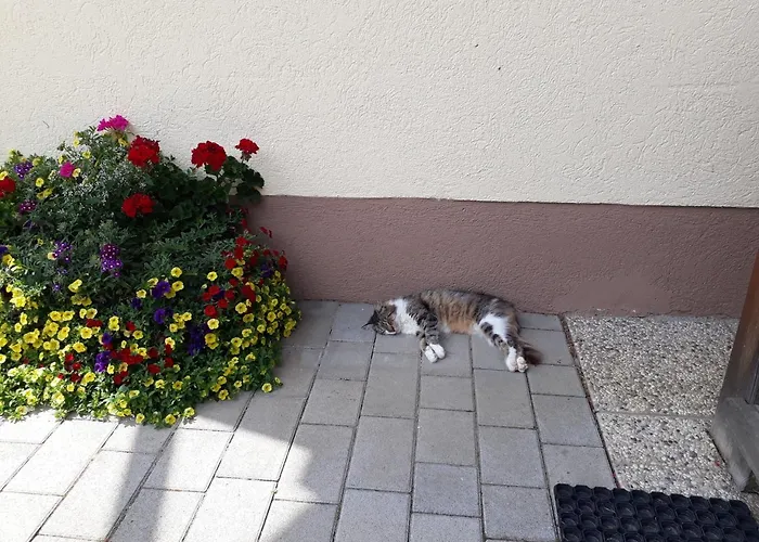 Kniebergerhof Liebenfels